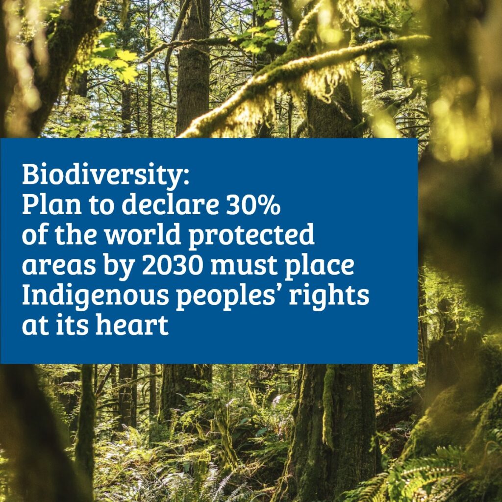 Amnesty International has stressed that addressing biodiversity issues is crucial for climate justice – but this must centre around Indigenous peoples' rights. Partnering with indigenous-led organizations like MCC helps realize this justice and works towards a brighter future. #Biodiversity #COP15 #Sustainability #Musqueam #IndigineousCanada