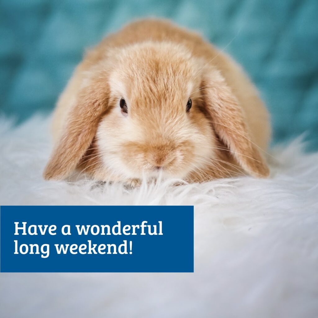 Happy Easter for everyone celebrating!May your days be blessed and bright.It’s a long weekend – what are your plans for the holidays? Let usknow in the comments! #EasterWeekend #LongWeekend