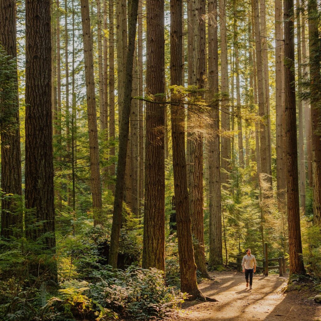 man walking in forest trail at edge way in lelem